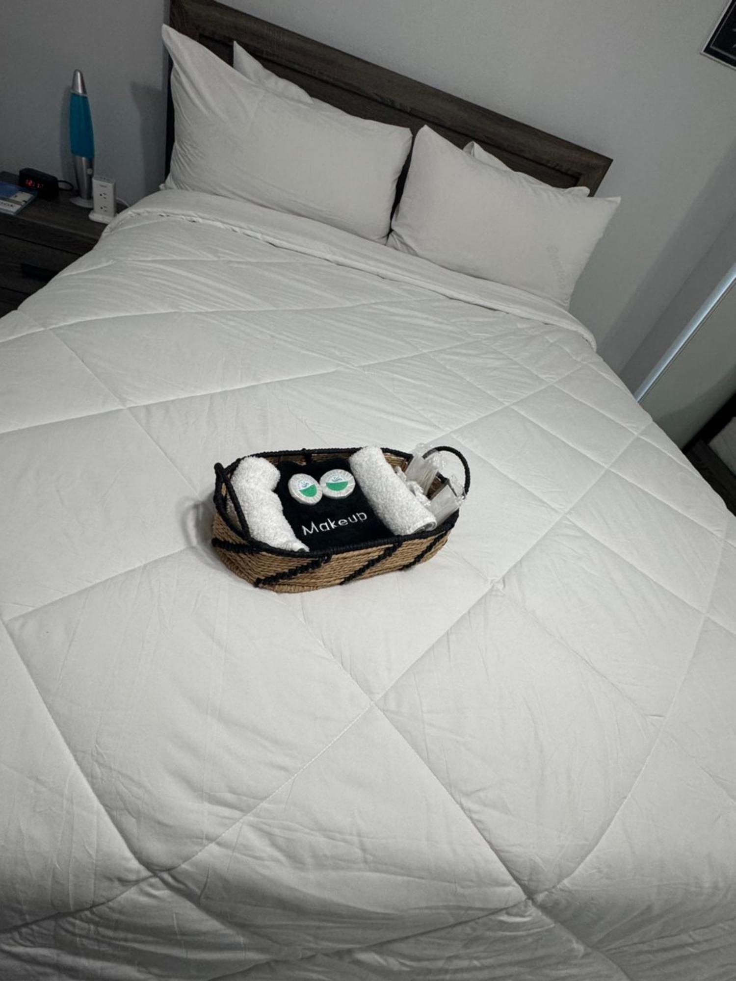 Great Apartment In Valrico Dış mekan fotoğraf
